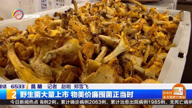 野生菌大量上市 物美价廉囤菌正当时