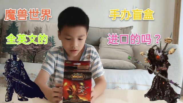 小学生网购魔兽世界手办盲盒,全英文盒装的,难道这是进口的吗?