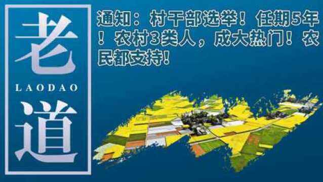 通知:村干部选举!任期5年!农村3类人,成大热门!农民都支持!