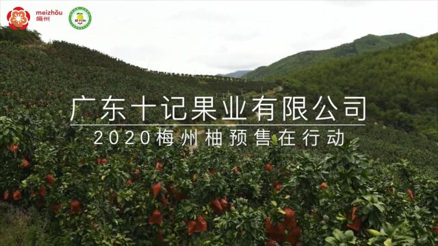 云选梅州柚 十记来荐|大产业精加工,一条生产线满足各级采购需求