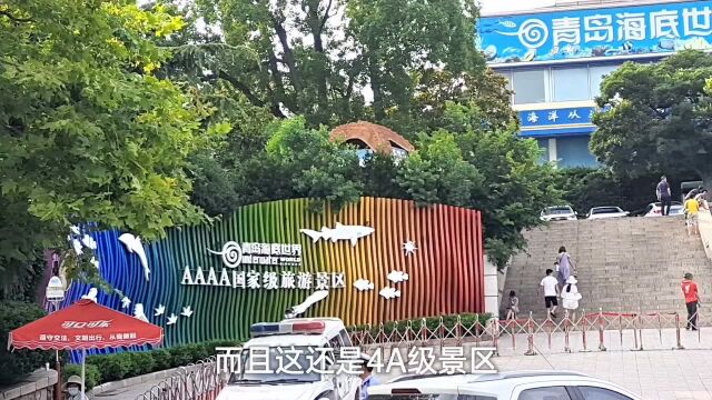 青岛海底世界、水族馆价格啥的都在这了,暑假千万别让你的孩子知道