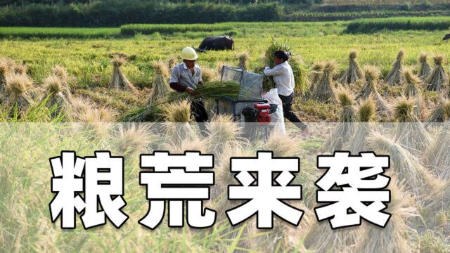 世界爆发50年最严重粮食危机!多国禁止粮食出口,“粮荒”来袭?