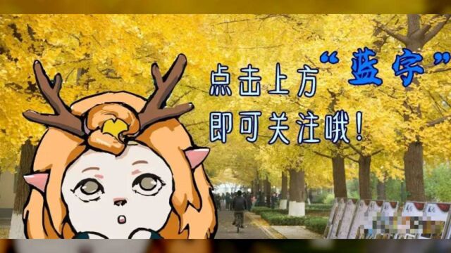 十一放假能否离校?学术交流活动是否会减少?回应来了