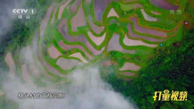 自然的恩赐,雷公山像一个巨大的食材仓库|中华民族