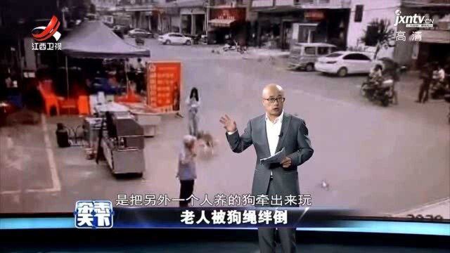 杂志天下:老人被狗绳绊倒