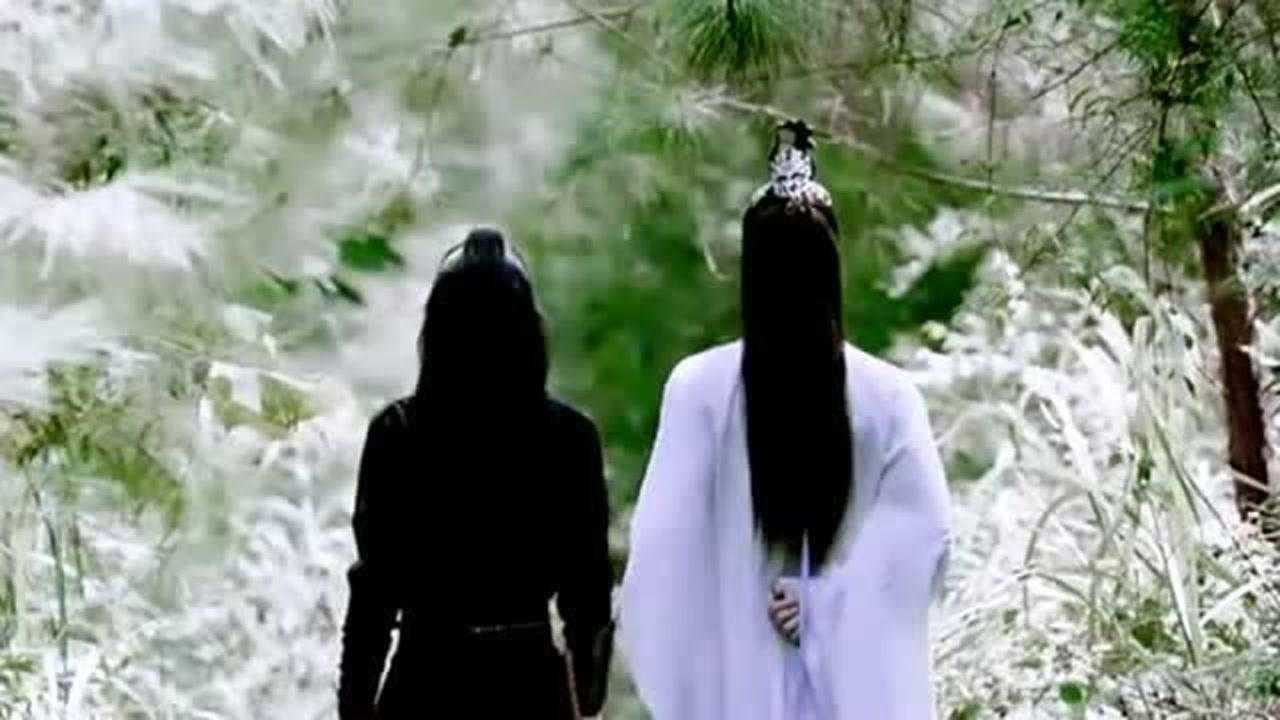 肖战王一博陈情令忘羡的背影好有爱啊这就是岁月静好的样子吧