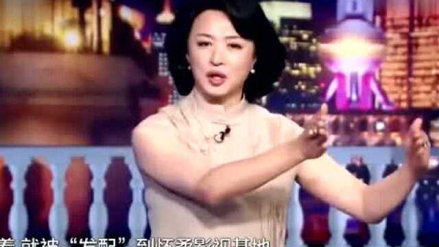 金星秀:还扒了娱乐圈骗局,黑经纪公司是这样招聘演员,还真的是有戏拍