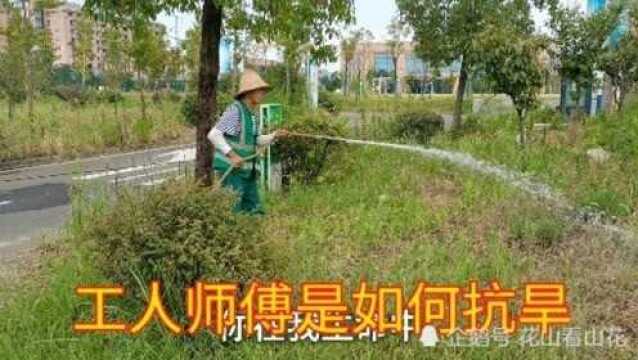 工人师傅是如何养护道路和绿化的