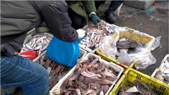 实拍:来山东日照看海赶海买海鲜带回家,石臼海鲜市场是个好去处