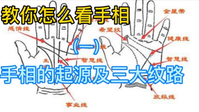 教你学习看手相(一)手相的起源及三大纹路