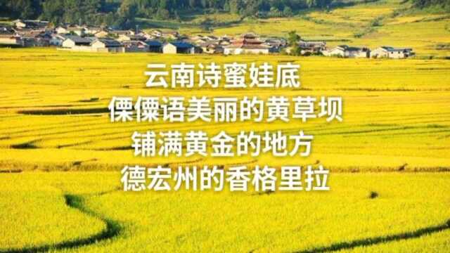 云南诗蜜娃底:傈僳语美丽的黄草坝,铺满黄金的地方,德宏州的香格里拉