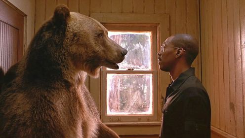 公熊向人类学习“泡妞”，成功娶了一只大胖熊老婆，一部搞笑动物电影