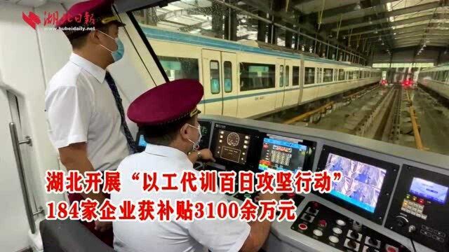 湖北开展“以工代训百日攻坚行动” 184家企业获补贴3100余万元