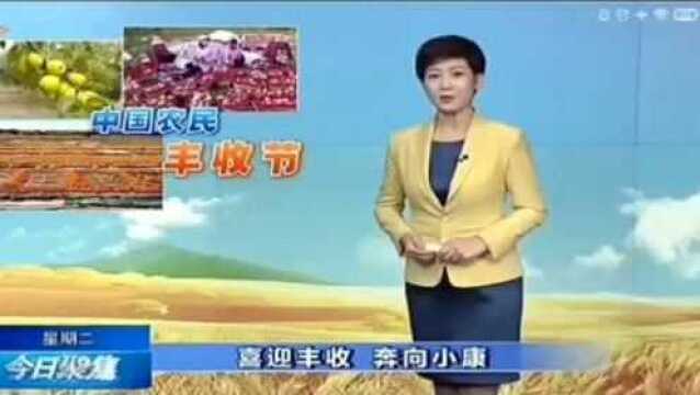 中国农民丰收节