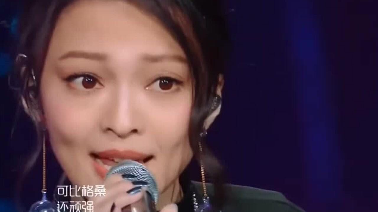 阿刁-张韶涵 你是自由的鸟