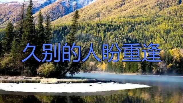 听多少次都不够!黄爱玲的《久别的人盼重逢》简直有毒,太醉人