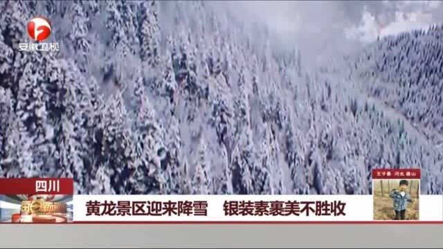 四川:黄龙景区迎来降雪 银装素裹美不胜收