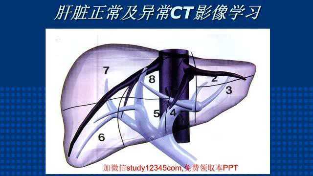 肝脏正常及异常CT影像学习(珍藏版)