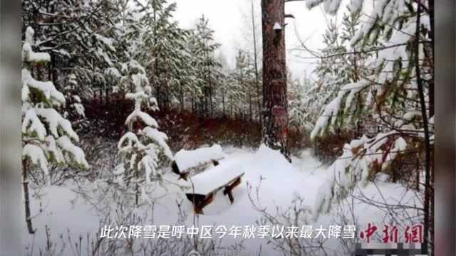 雪深30厘米! 中国最冷小镇迎10年来同期最大降雪