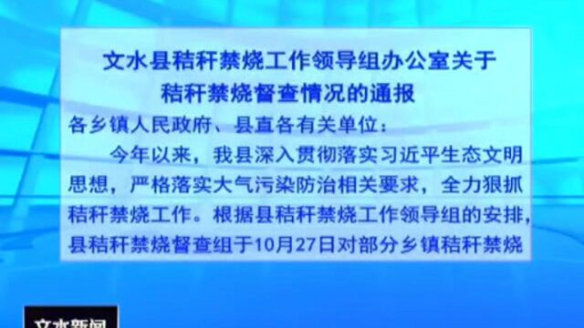 文水:4个村多人被通报