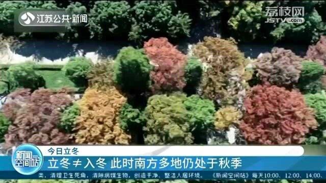 今日立冬 今日7时14分进入立冬节气 今冬气温或偏低