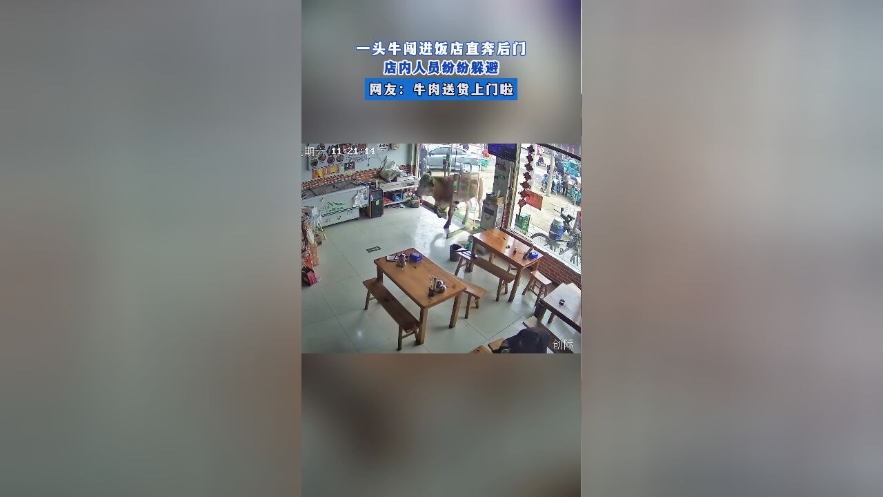 一头牛闯进饭店直奔后门,店内人员纷纷躲避,网友:牛肉送货上门啦