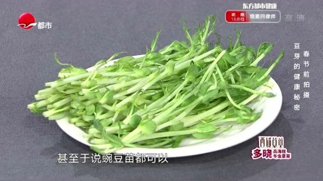 各类豆芽的养生功效,为你大科普,不妨看准功效吃豆芽!