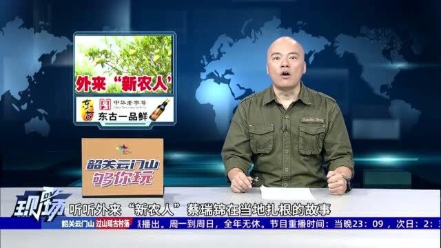 置身林下为农业 触网直播拓销路