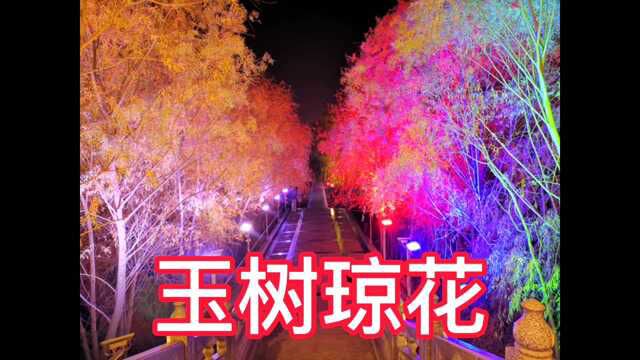 临汾汾河公园夜景,到处是玉树琼花,使人留恋忘返