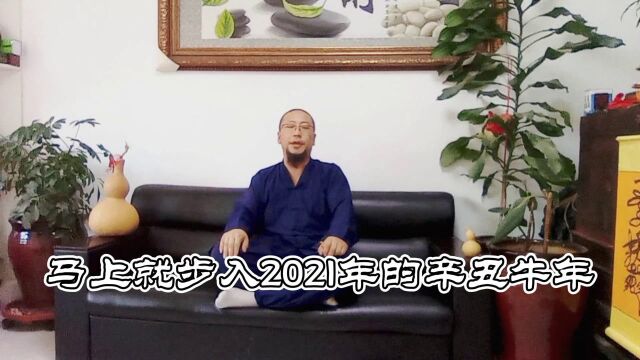 2121年出生的宝宝孩子起名字应该注意取名不要用午马取个什么名字