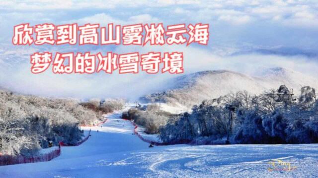 来吉林这个滑雪圣地,不滑雪会相当遗憾,能滑雪看雾凇那更是绝配