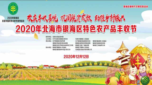 分享丰收喜悦!2020年北海市银海区特色农产品丰收节12月12日开幕!