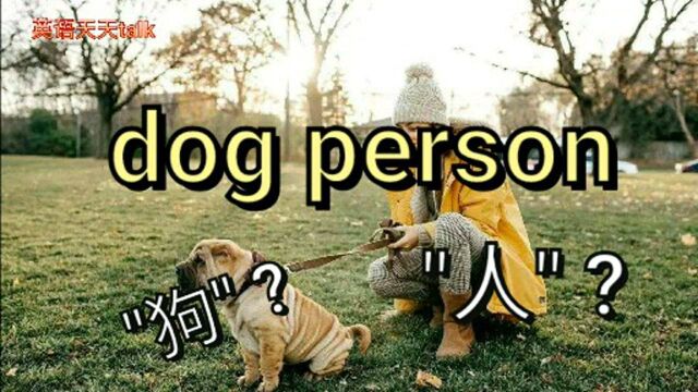 英语dog person可不是骂人的脏话,别让老外笑趴下