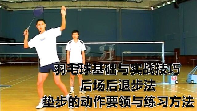 羽毛球基础与实战技巧:后场后退步法,垫步的动作要领与练习方法