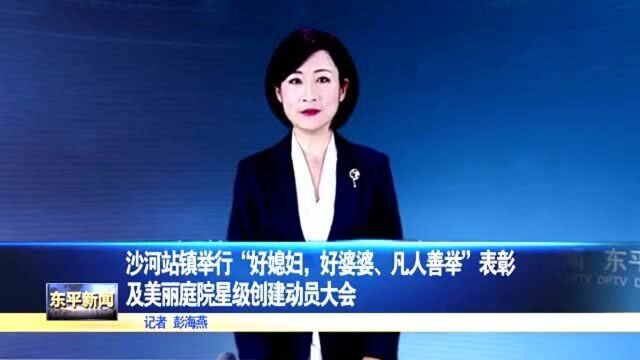 沙河站镇举行表彰及创建美丽庭院星级动员大会