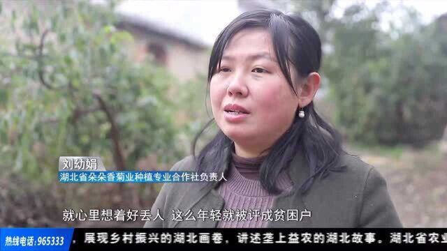 荆楚益农 | 励志“菊花姐” 从贫困户到致富带头人