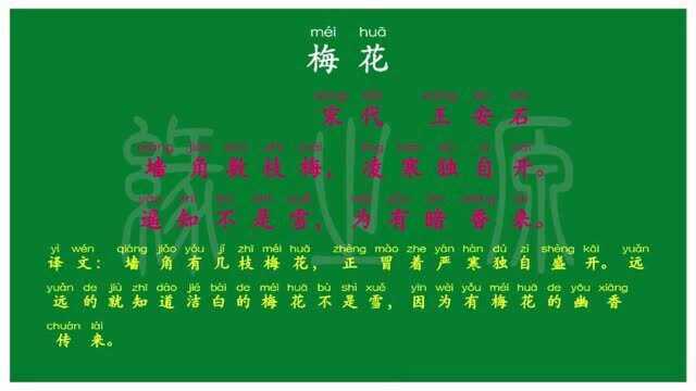 019二年级上册 梅花 宋代 王安石 译文 无障碍阅读 拼音跟读 背诵