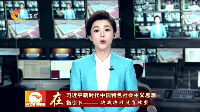 【决战决胜脱贫攻坚】邢台内丘:传承李保国精神 把荒山变成“金山”