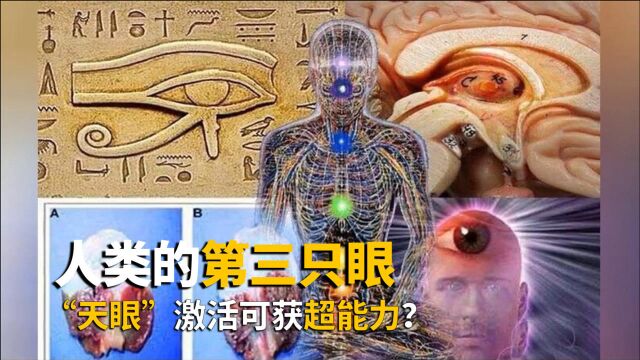 揭秘人体奥秘:人类的“第三只眼”,科学家称隐藏在脑内