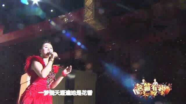 歌曲《火红的萨日朗》演唱:乌兰托娅