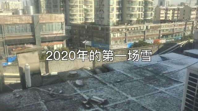 2020年的第一场雪,第二天就没了,苏州的冬天原来也这么冷!