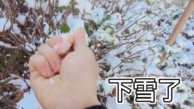 安徽广德下雪了,气温一下子降到了零下5度,这天气真的好冷啊