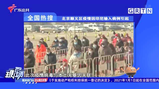 全国热搜:北京顺义区疫情因印尼输入病例引起