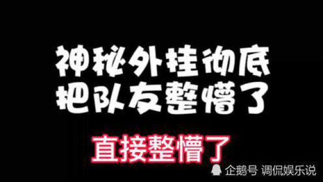 王者荣耀:又遇到个呆萌小可爱,神秘外挂直接把队友整懵了