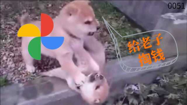 Google相册不再提供无限量空间0051