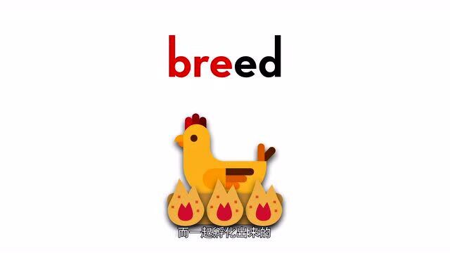 bread,breed,brood,你能分的出来嘛?