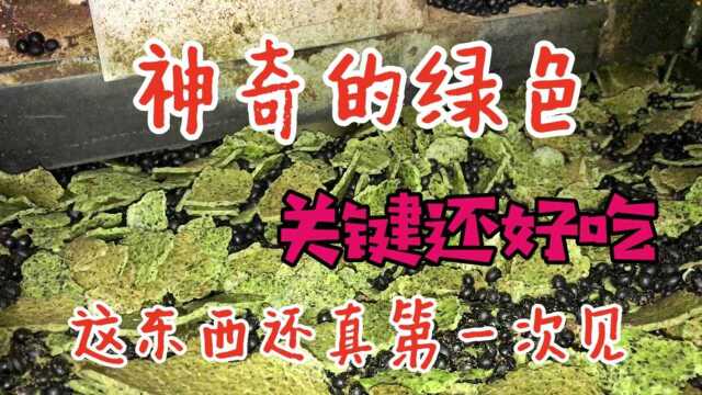 这种豆你见过没?榨出来的油颜色是绿色的,你吃过这种油吗?