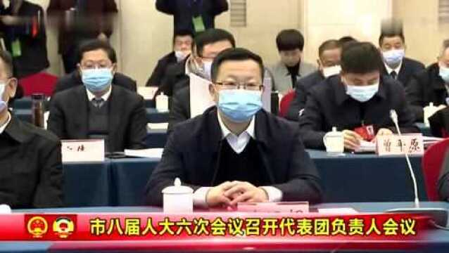 岳阳市八届人大六次会议召开代表团负责人会议