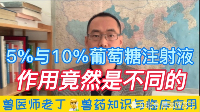 5%与10%的葡萄糖注射液作用特点有啥不同