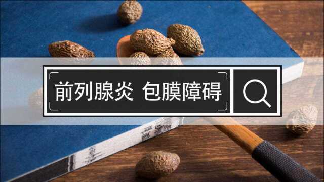 潘医生:前列腺的包膜是不是会阻碍前列腺炎的治疗?